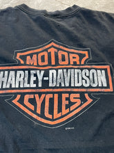 Load image into Gallery viewer, Harley Davidson Freewheelin&#39;
